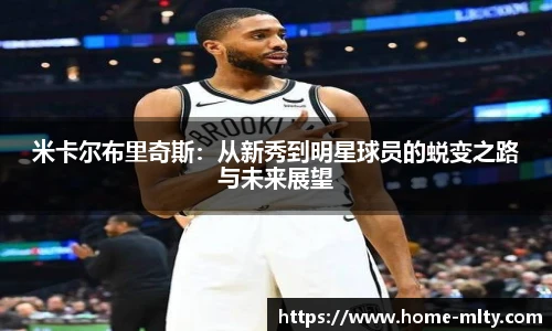 米兰体育下载